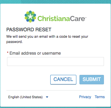 Christiana Care Patient Portal Forget Passwords 